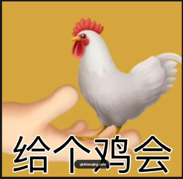 给个鸡会 - 严选推荐机场