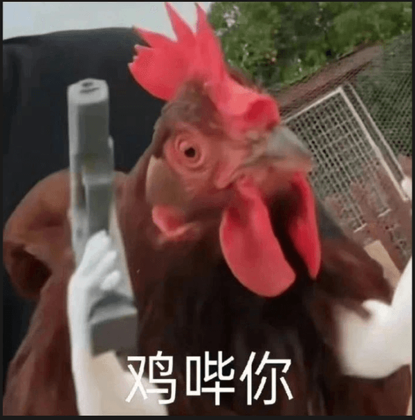 鸡哔你！2026 常见问题答疑